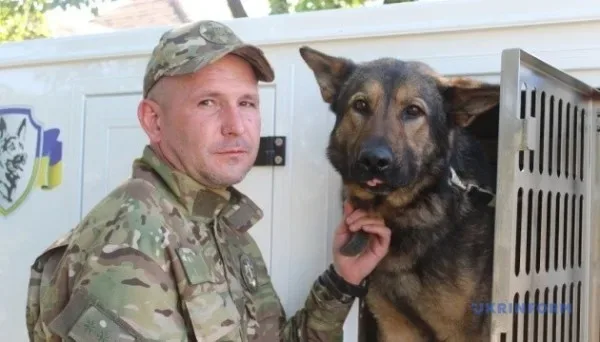 Херсонський кінолог Олександр та Марко: Пошук вибухівки під обстрілами