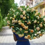 Світле небо над Херсоном з легкою хмарністю, сонячний день