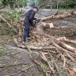 Карта погоди з позначенням грози та сильного вітру у Херсонській області