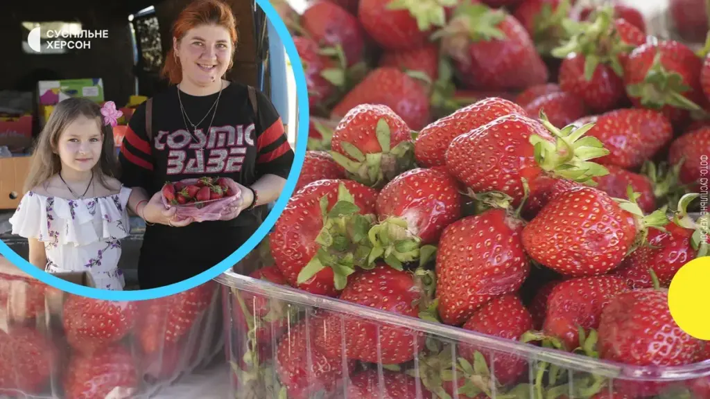 Полуниця на ринках Херсона: ціни до 200 гривень та дефіцит місцевого врожаю