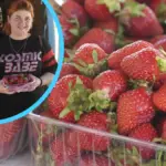 Свіжа полуниця на прилавку ринку в Херсоні, яку продають, попри дефіцит місцевого врожаю. 4