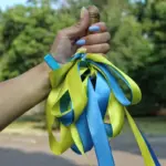 Учні Херсонської громади навчалися віддалено, 363 з них отримують свідоцтва з відзнакою