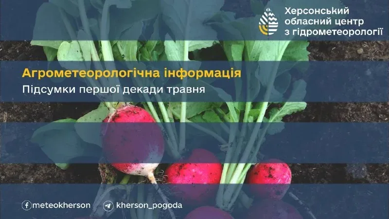 Прохолодна погода та заморозки затримали сівбу теплолюбних культур на Херсонщині