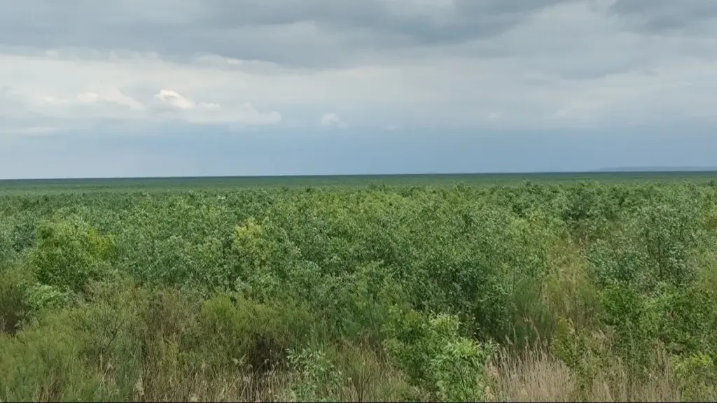 Українські науковці вдев’яте дослідили дно колишнього Каховського водосховища