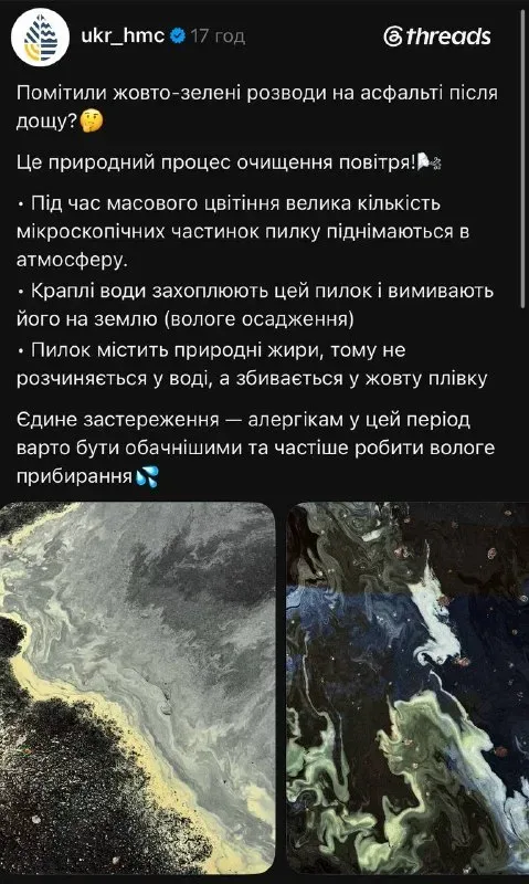 Жовті плями на авто в Херсоні не хімікати а пил із Сахари