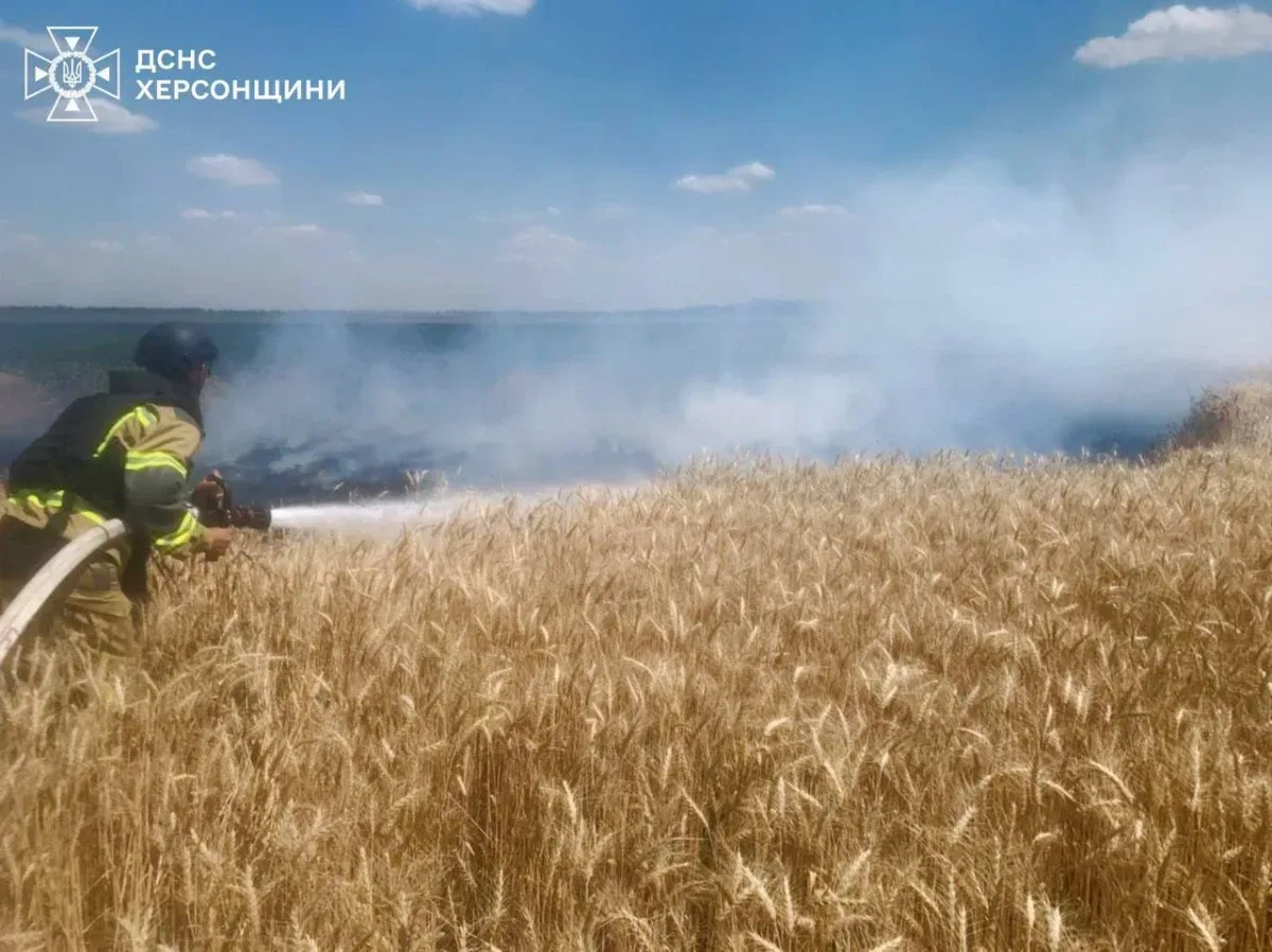 Рятувальники гасять пожежу на пшеничному полі в Херсонській області після російського обстрілу 2