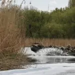 Українські військові на Херсонщині, відбиття атак дронів і штурмів російських військ