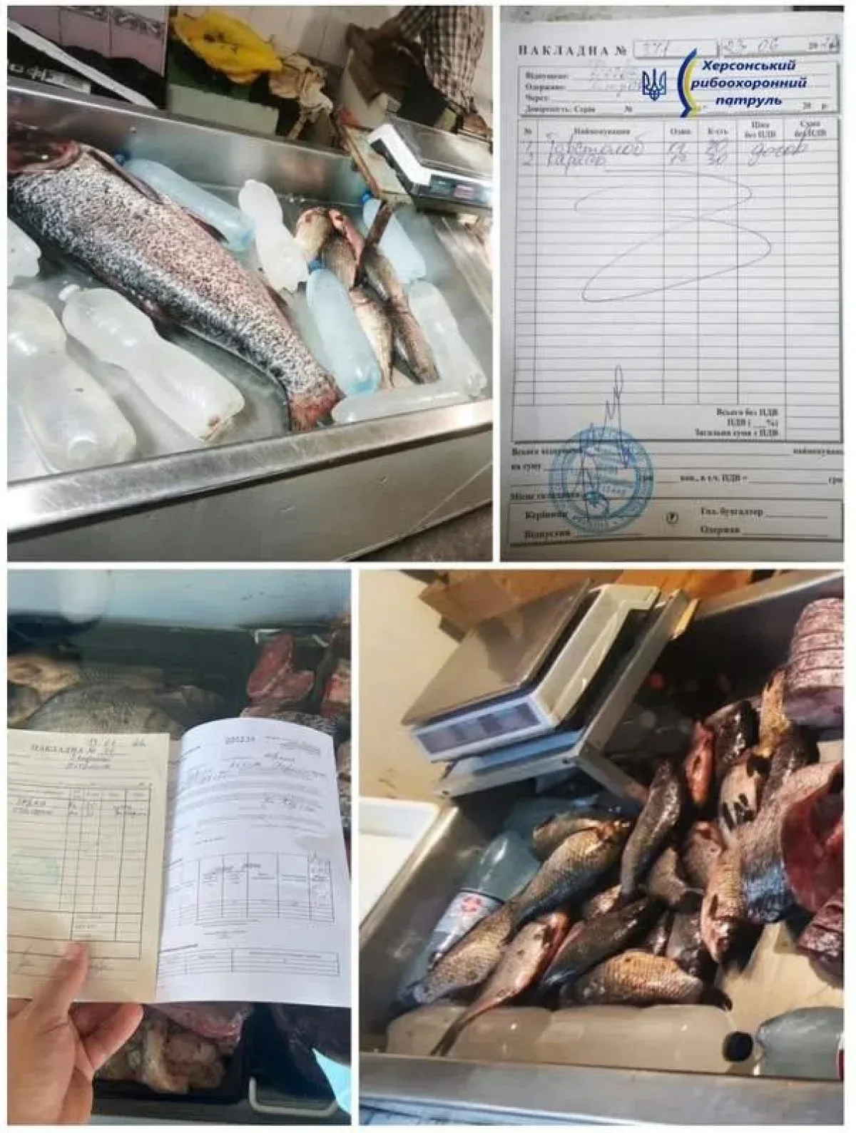 Спіймана браконьєрами риба, виявлені сітки та інспектори рибоохоронного патруля на річці Інгулець 2