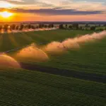 Аграрії Херсонщини отримують компенсацію на відновлення зрошення