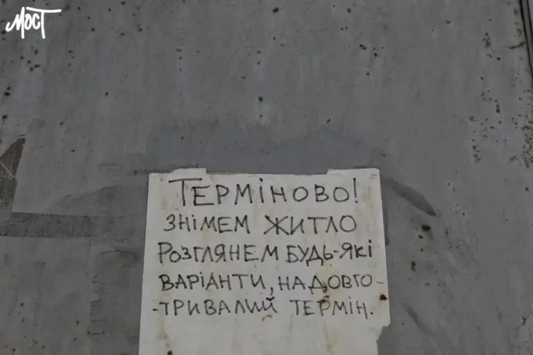 Скриншот інтерфейсу порталу державних послуг для внутрішньо переміщених осіб, із зазначенням доступних сервісів