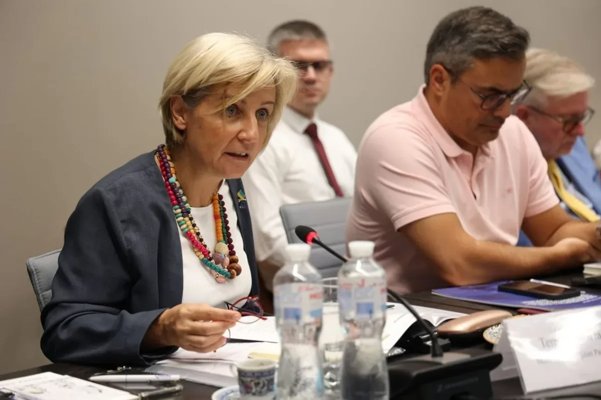 Дмитро Бутрій виступає перед делегацією Європейського парламенту, обговорюючи виклики Херсонщини 6