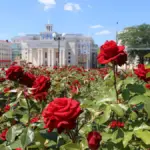 Триденна спека на Херсонщині з 29 червня до 1 липня, температура до 38 градусів, попередження синоптиків