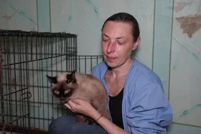Двоє котів, які відновлюються у притулку після пожежі від обстрілу в Херсоні. 2