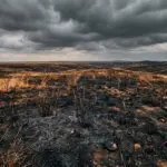 Екоцид на Херсонщині - наслідки підриву Каховської ГЕС і окупації