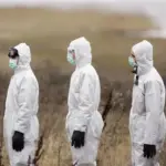 Туші худоби, інфіковані сибірською виразкою, біля скотомогильника на окупованій Херсонщині
