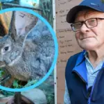Олександр Семенченко у своєму новому господарстві в Херсоні з кролями-велетнями після евакуації з Широкої Балки. 4
