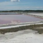 Підозра екс-керівниці Фонду держмайна на Херсонщині за заниження вартості об'єкта приватизації на 42 млн грн