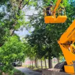 Комунальники Херсона працюють над благоустроєм міста, прибираючи вулиці та ліквідуючи наслідки обстрілів.