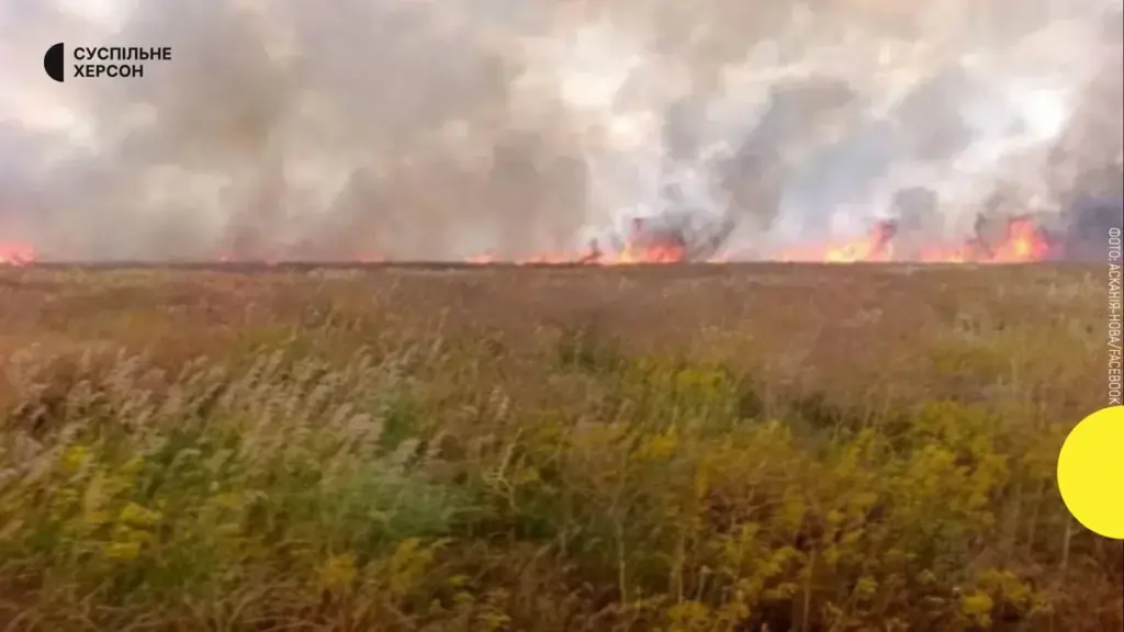 Майже 2 тисячі гектарів вигоріло в заповіднику «Асканія-Нова» на Херсонщині