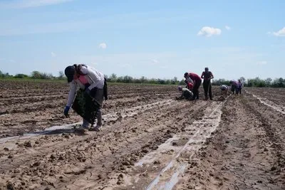 Відновлення зрошувальних систем на Херсонщині 1
