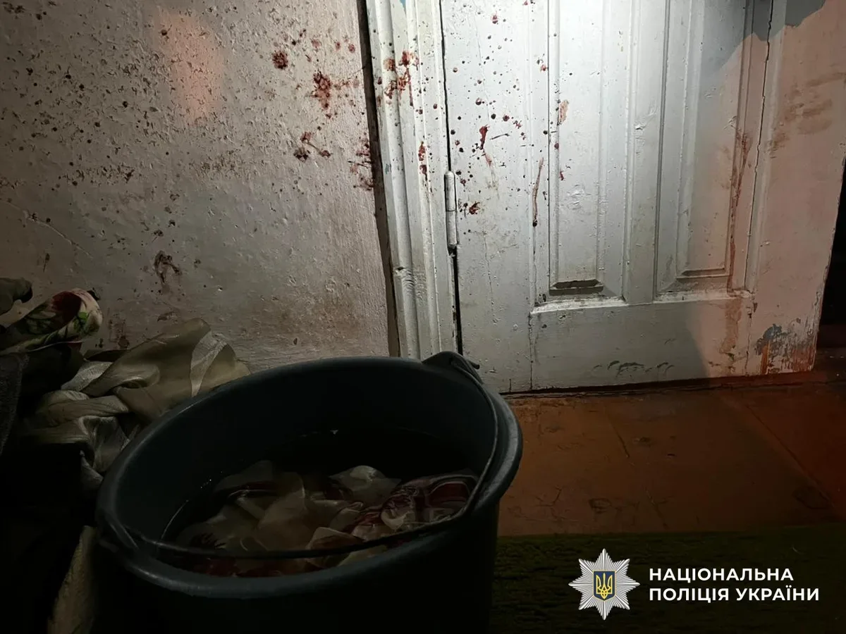 Поліція затримала жінку, яка до смерті забила співмешканця у Великій Олександрівці 4