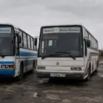 Окупанти на Херсонщині скасували автобусні рейси та попередили про збій транспорту