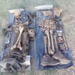 Окупанти в Чорноморці знайшли останки двох бійців часів Другої світової війни
