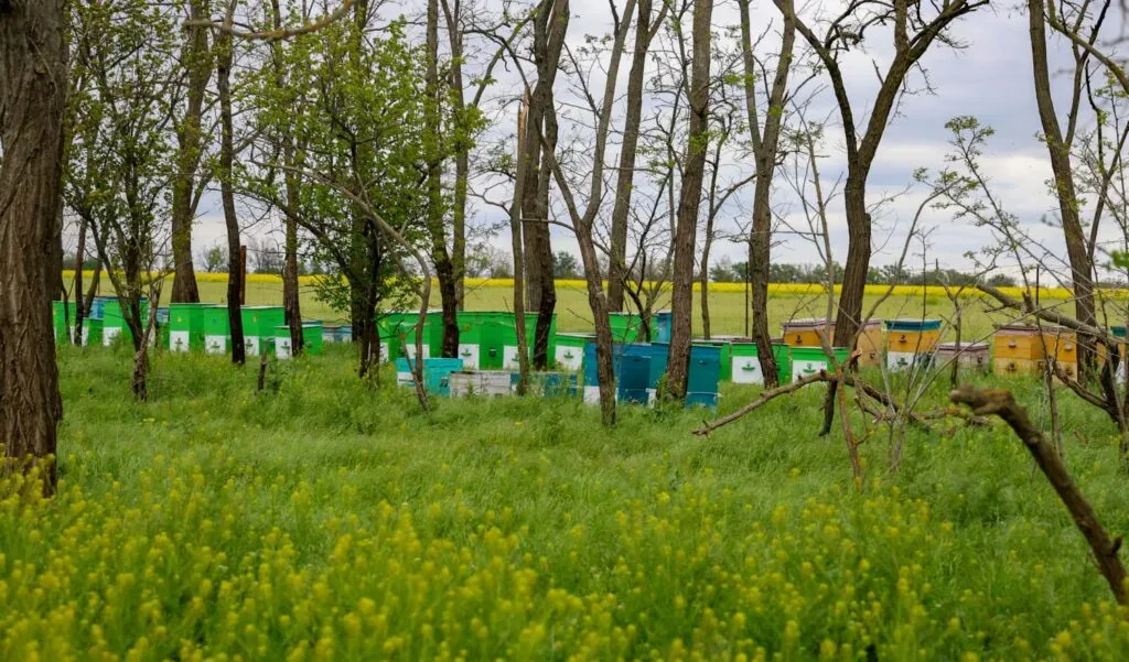 Фермер Петро Безверхній біля пошкодженого ангару господарства «Ольвія» на Херсонщині 5