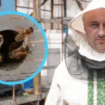 Херсонський пасічник Артем Заліцаєв біля своїх вуликів 6