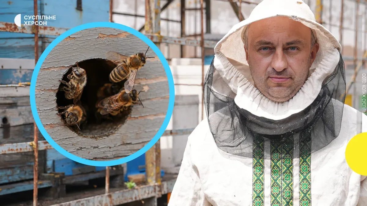 Херсонський пасічник Артем Заліцаєв біля своїх вуликів 6