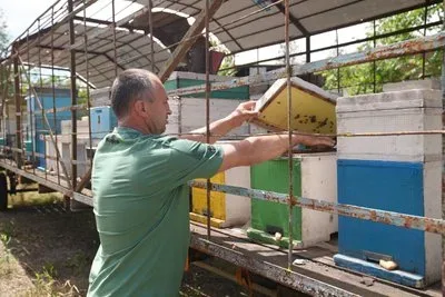 Херсонський пасічник Артем Заліцаєв біля своїх вуликів 1