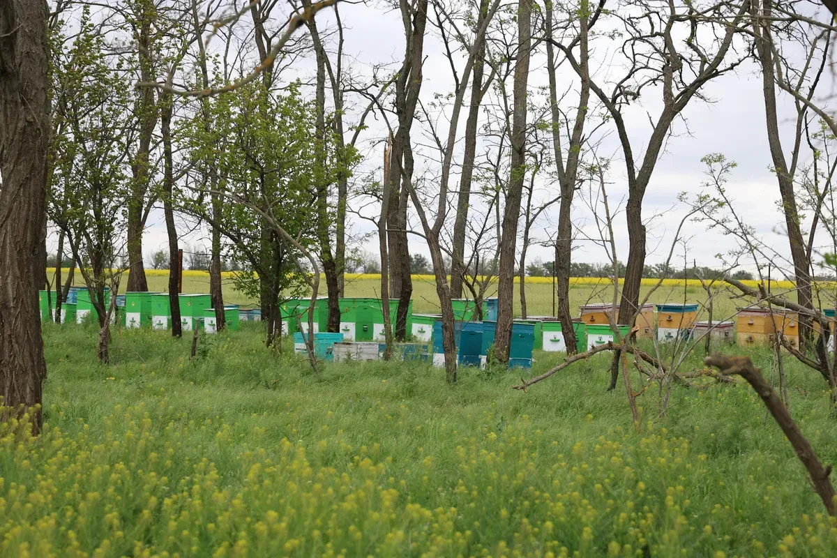 Відновлення зруйнованих будівель у Високопіллі, Херсонська область, після деокупації. 9