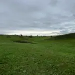 Загиблі рослини та пошкоджені заповідні території на Херсонщині внаслідок бойових дій