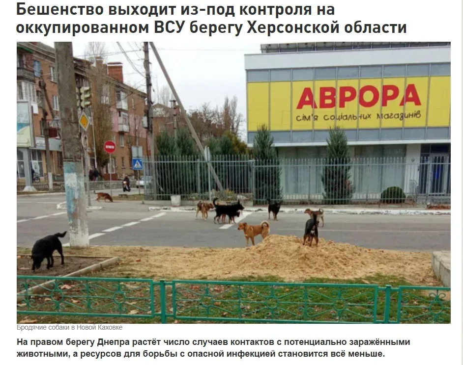 Російська пропаганда поширює фейки про спалахи сибірської виразки та сказу на Херсонщині 1