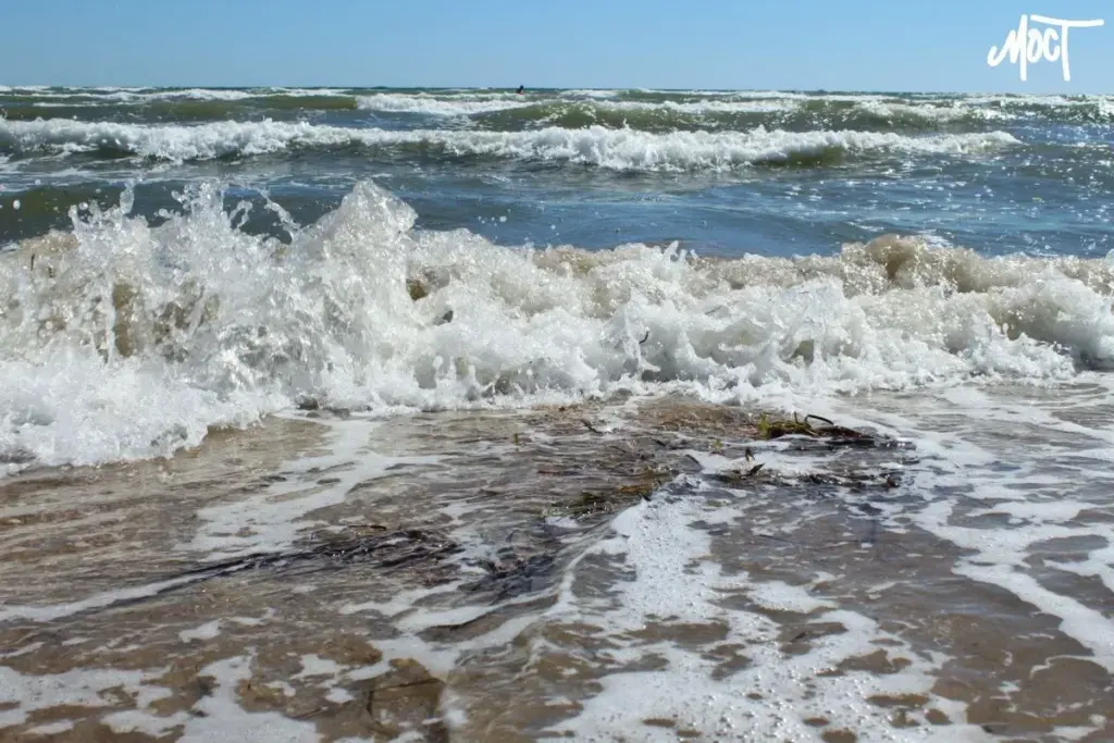 Сальдо створив «Морську раду» для непрацюючих портів Херсонщини