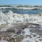 Володимир Сальдо під час оголошення про створення «Морської ради» для розвитку портової інфраструктури та суднобудування на Херсонщині.