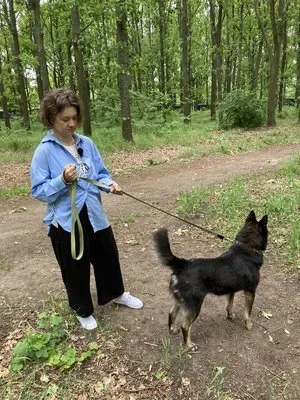 Троє собак, врятованих із Херсона, Вовк, Фінік та Цезар, чекають на нову родину в центрі адопції в Одесі 1