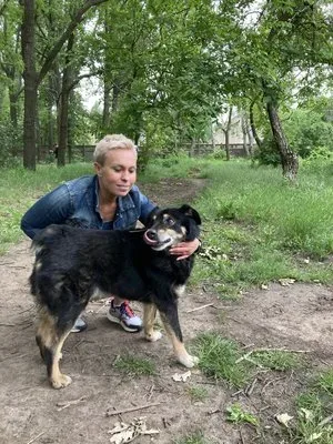 Троє собак, врятованих із Херсона, Вовк, Фінік та Цезар, чекають на нову родину в центрі адопції в Одесі 2