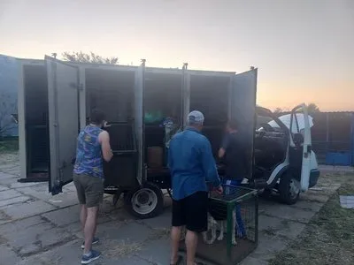 Троє собак, врятованих із Херсона, Вовк, Фінік та Цезар, чекають на нову родину в центрі адопції в Одесі 5