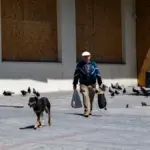 Собака, що напав на людину в Любимівці на Херсонщині через випадок сказу