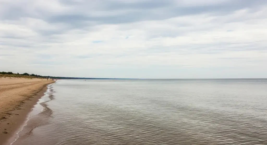 У Скадовську окупанти заборонили купатися в морі