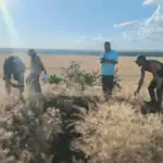 Вчені обстежують пошкоджений війною курган біля Інгульця на Херсонщині