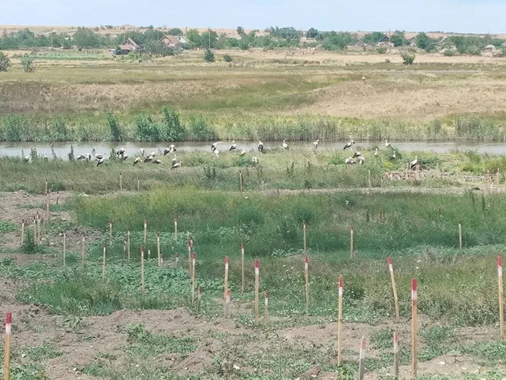 Вчені обстежують пошкоджений війною курган біля Інгульця на Херсонщині 1