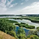 Молодий ліс та відродження природи на дні колишнього Каховського водосховища, Великий Луг