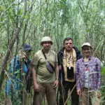 Верби зростають на дні колишнього Каховського водосховища, що оголилося після знищення ГЕС