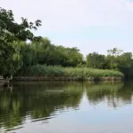 Символічне зображення тюремних ґрат або суддівського молотка, що ілюструє вирок за пособництво окупантам