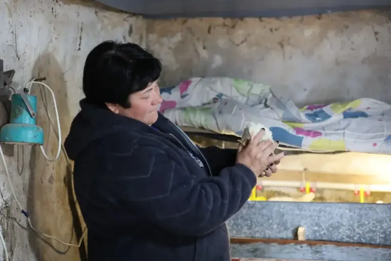 Жінка демонструє інкубатори та перепілок на своїй птахофермі, запущеній за грантові кошти