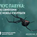 Схема першої допомоги при укусі павука та зображення павука каракурта
