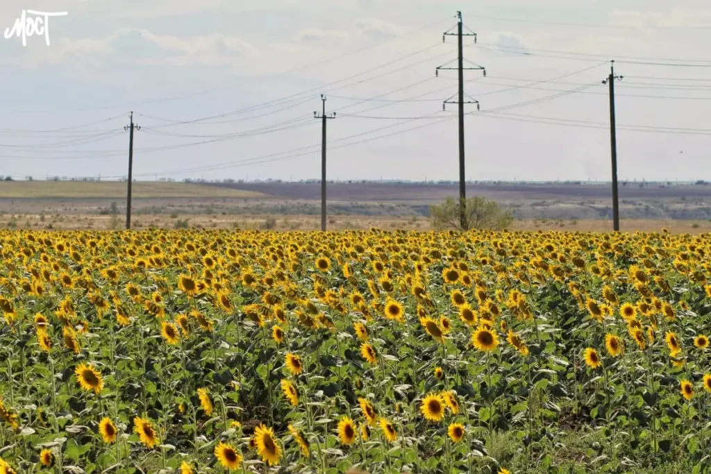 Аграріям на лівобережжі Херсонщини бракує пального для жнив
