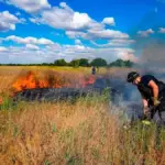 Російські дрони знищують посіви та сільськогосподарську техніку на Херсонщині, загрожуючи втратою врожаю.